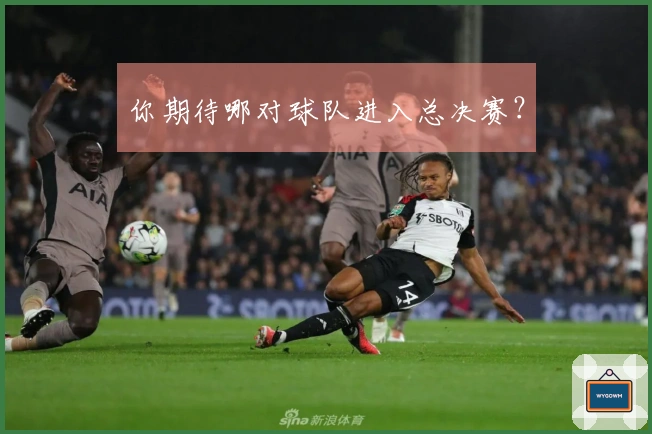 你期待哪对球队进入总决赛？